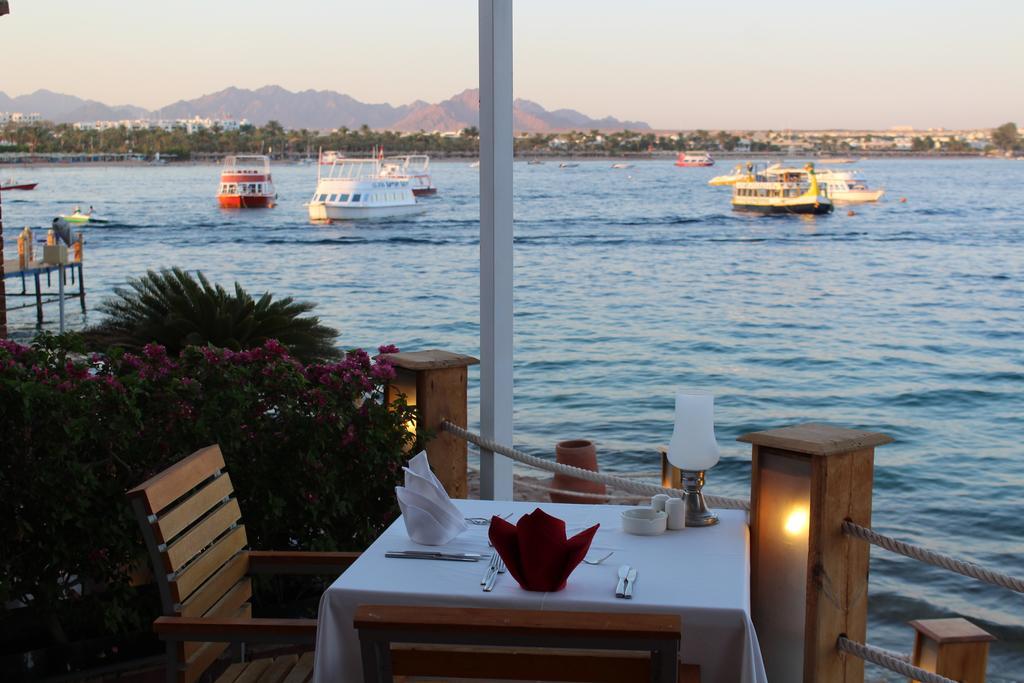 Ośrodek wypoczynkowy Lido Naama Bay 4*